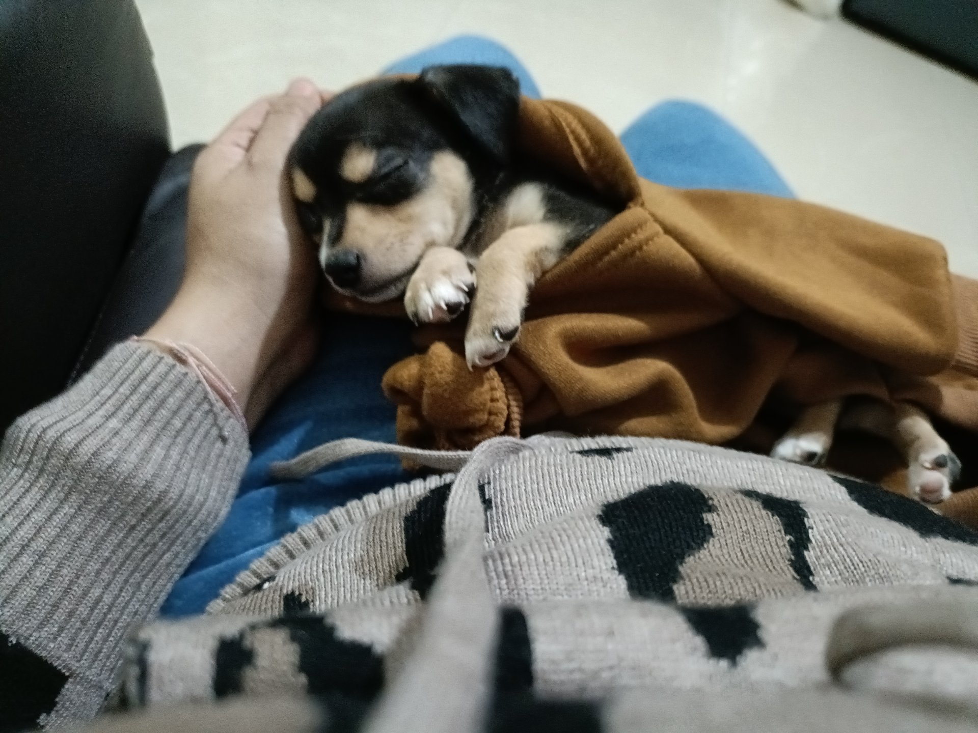 Nacho, foto 2