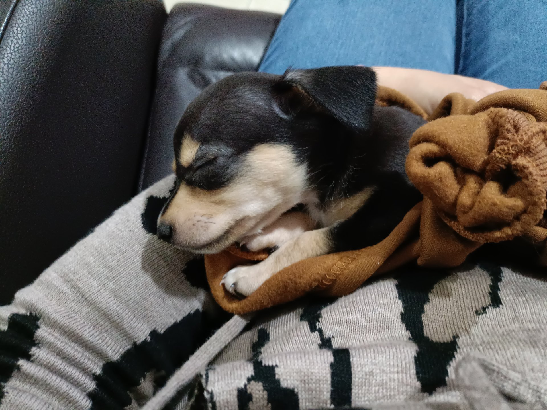 Nacho, foto 3