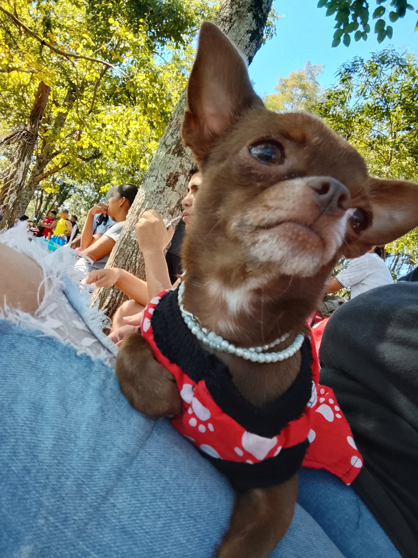Chloe, foto 3