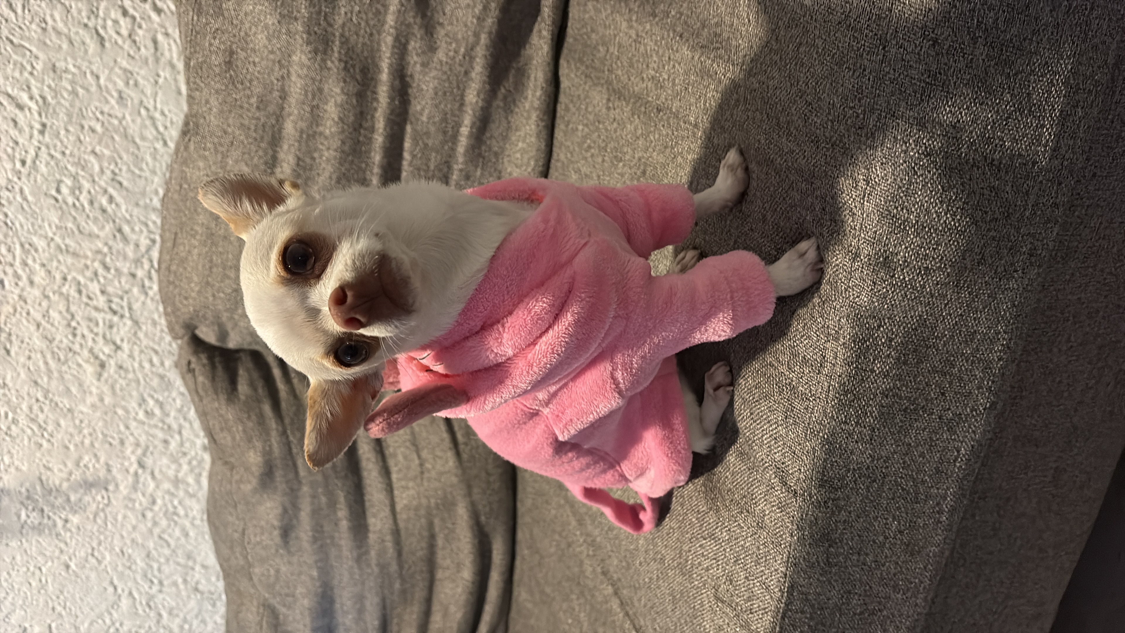 Lila, foto 3