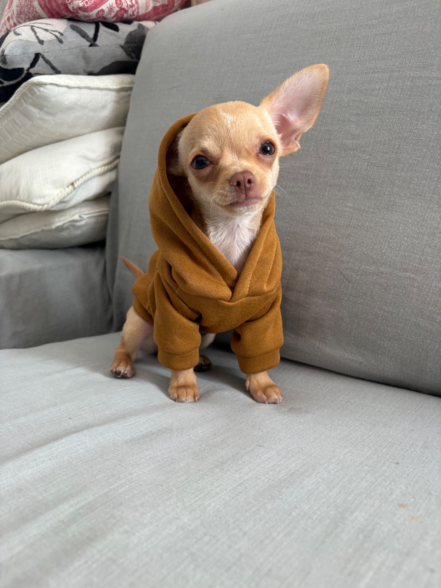 Kai, foto 3