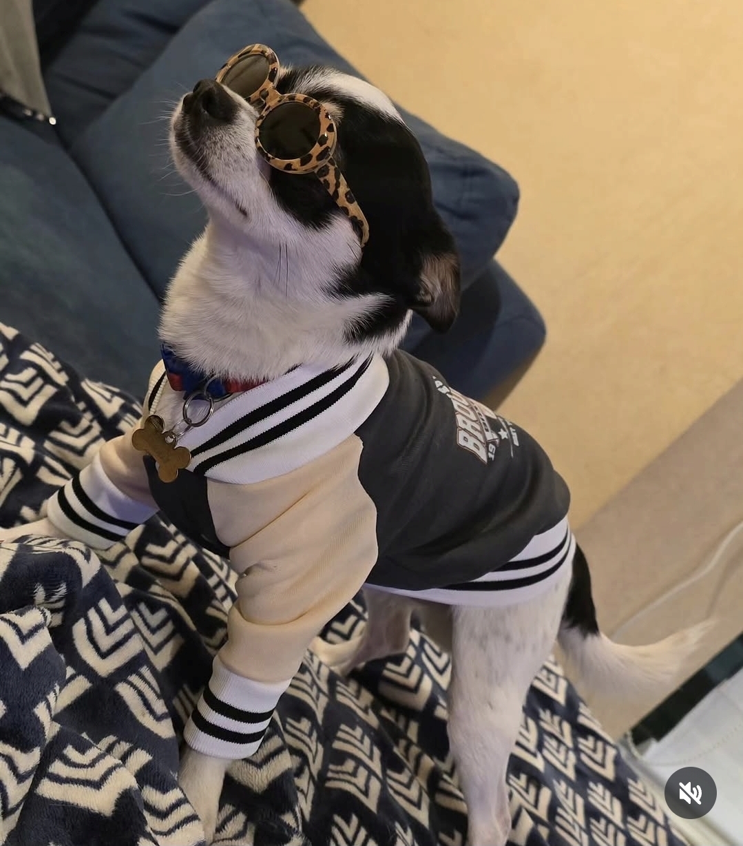 Baco, foto 2