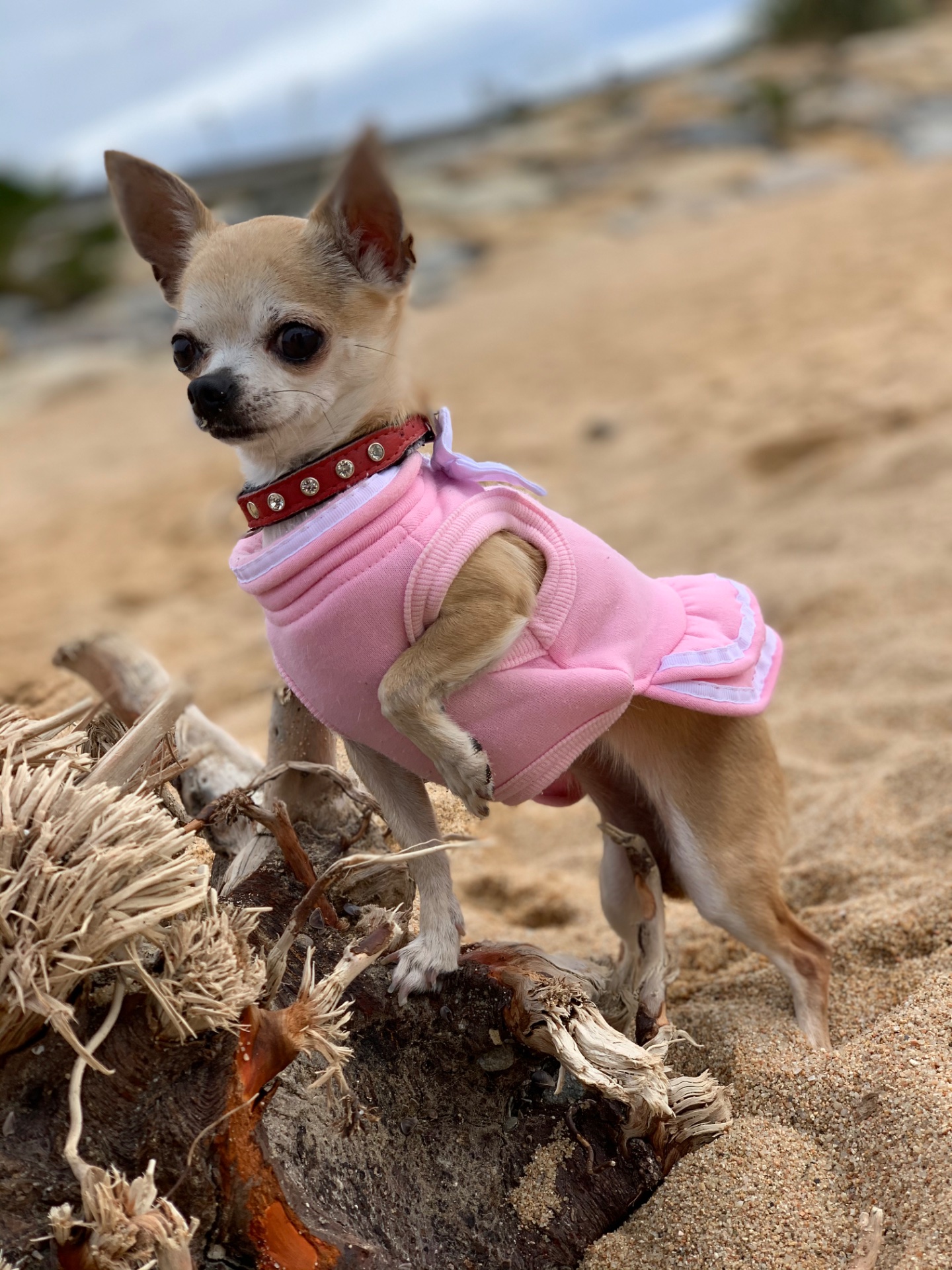 Chloé, foto 2