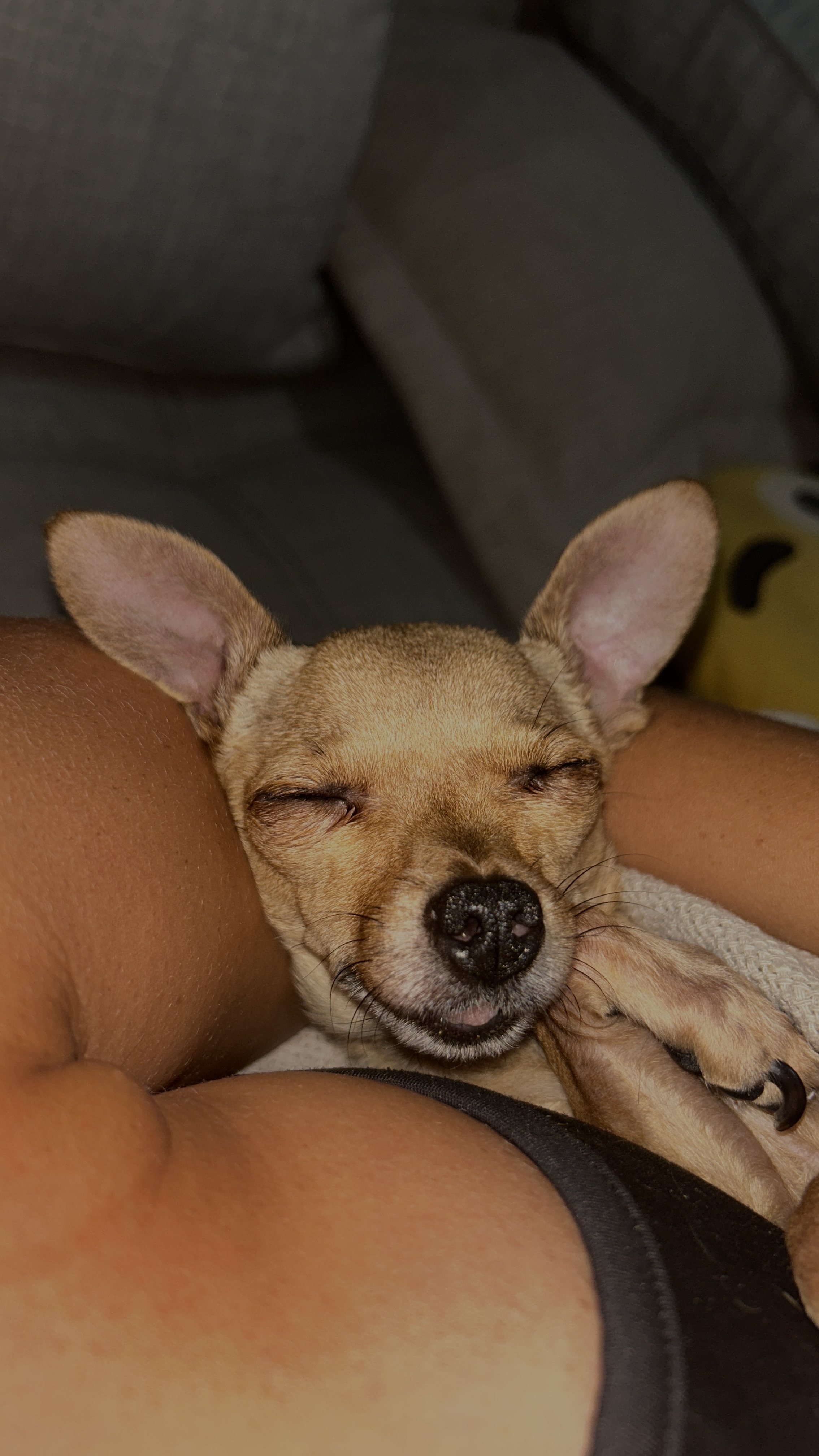 Chiquita, foto 3