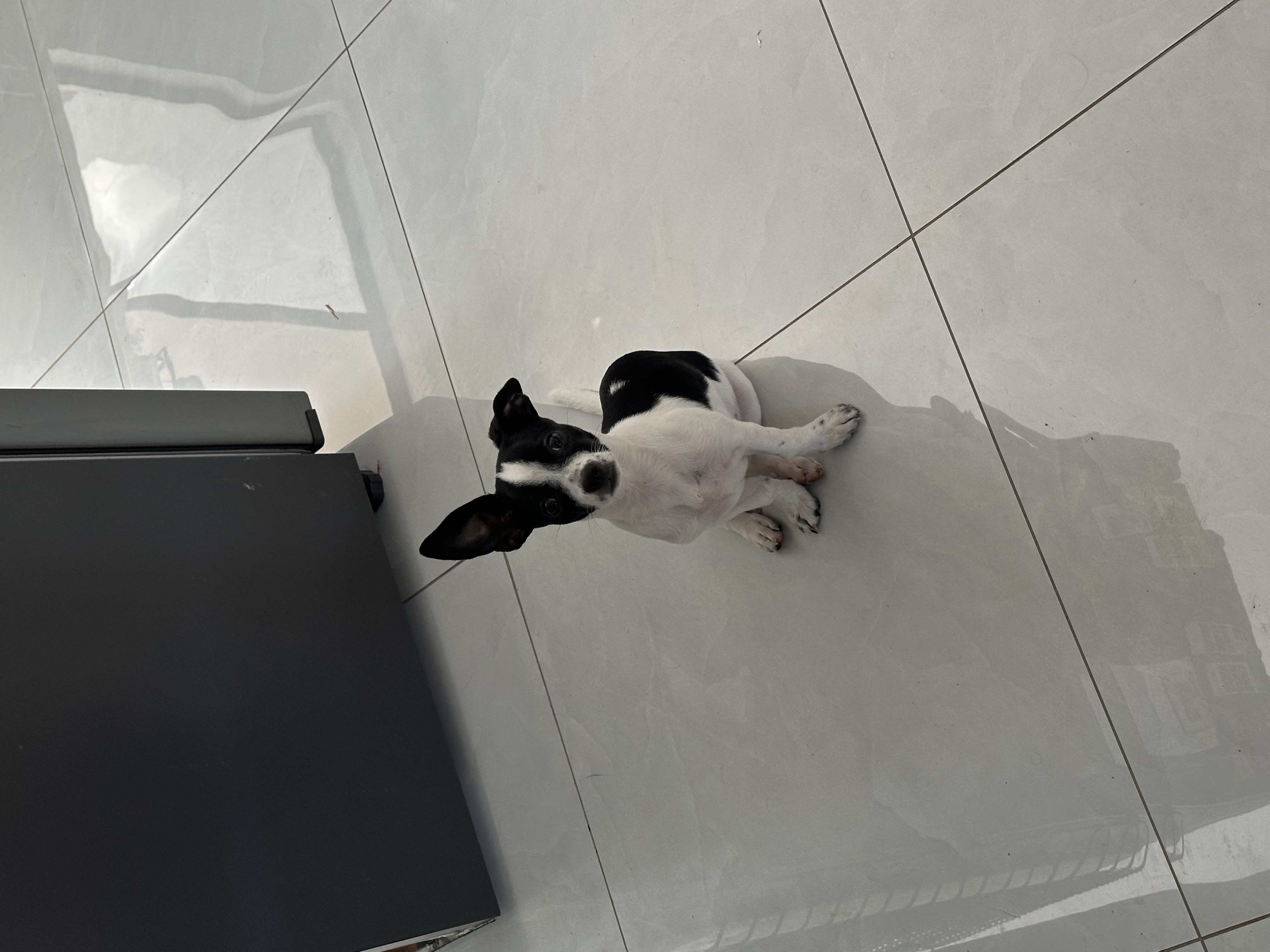Zero, foto 3