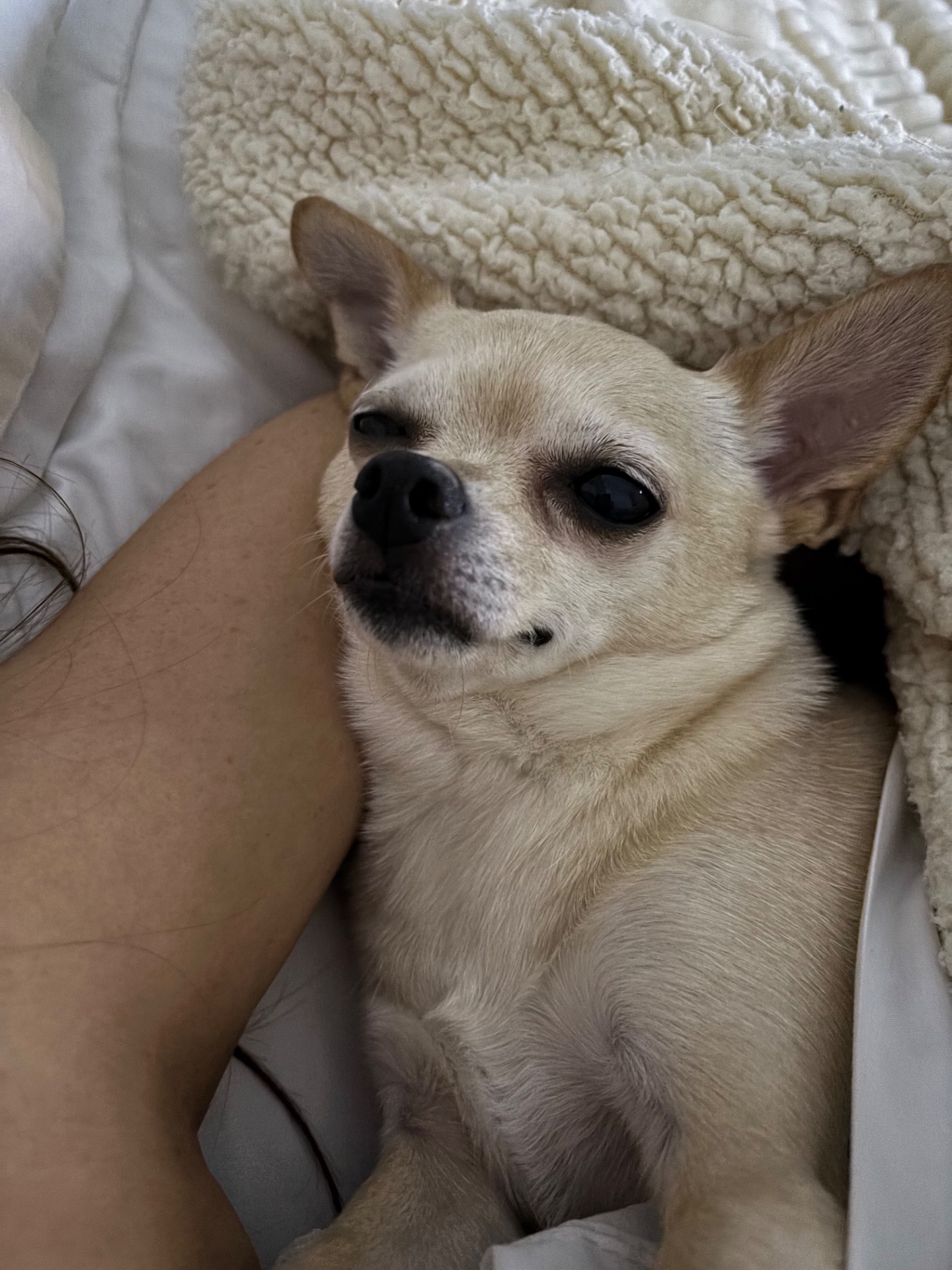 Frida, foto 3