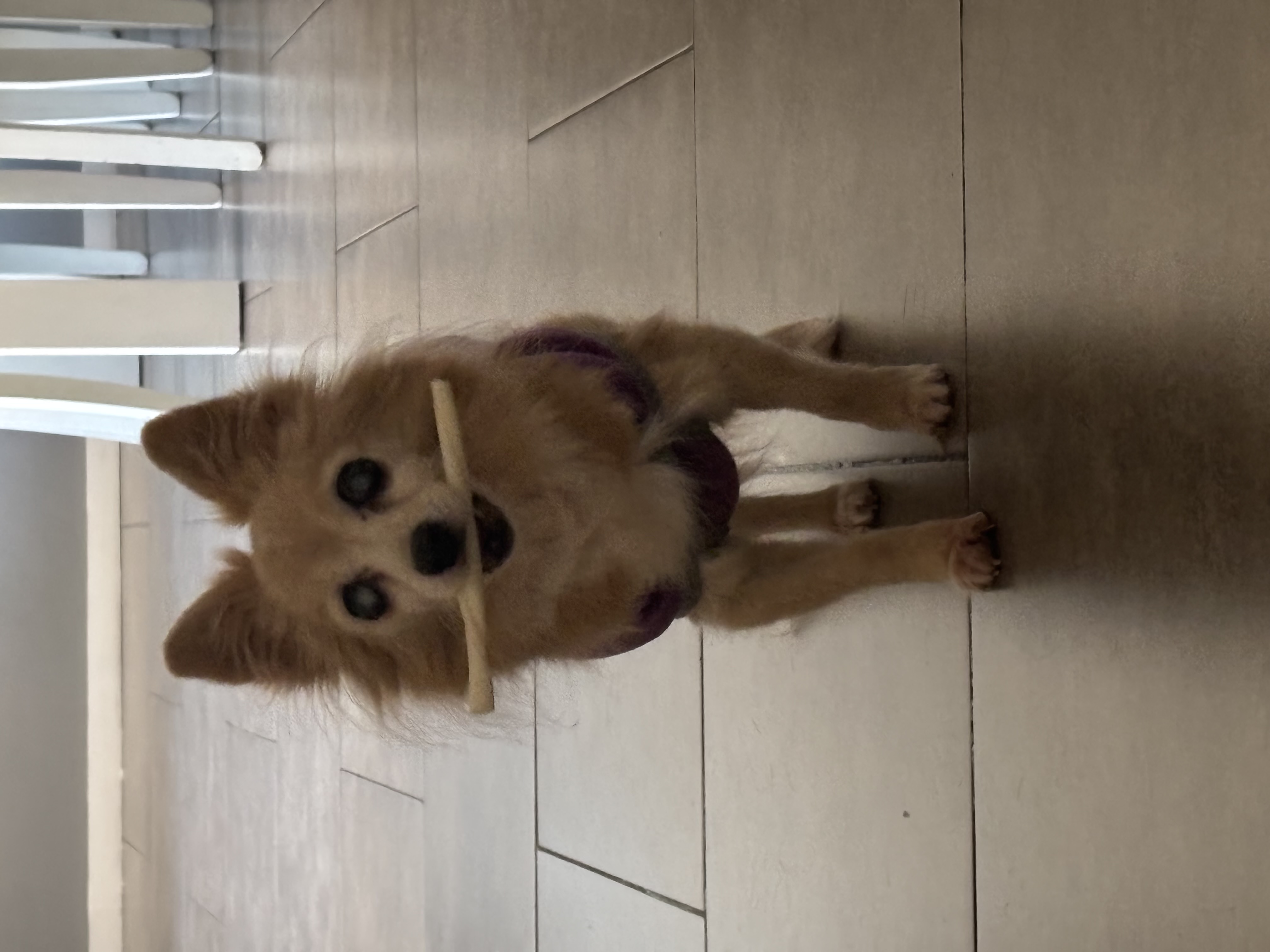 Lupita, foto 2