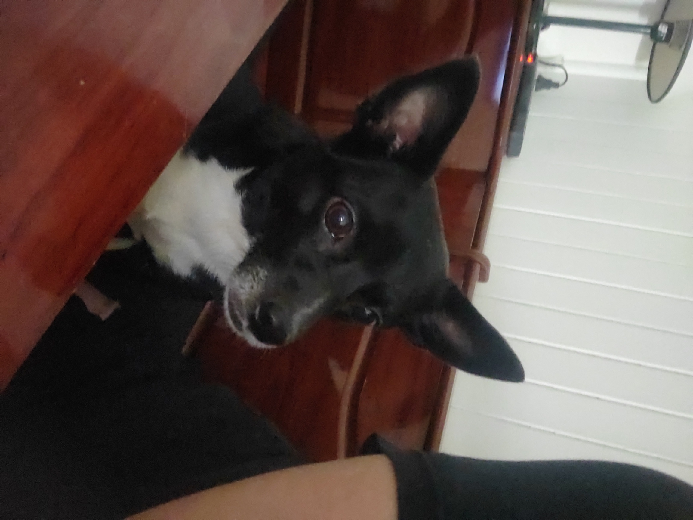 Luna, foto 2