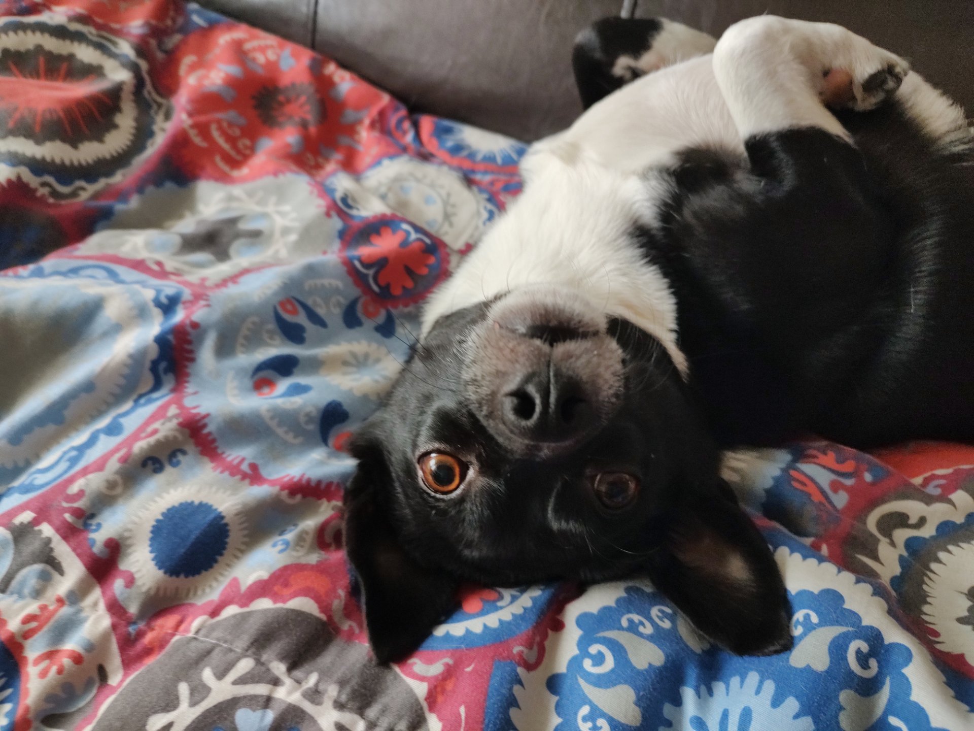 Luna, foto 3
