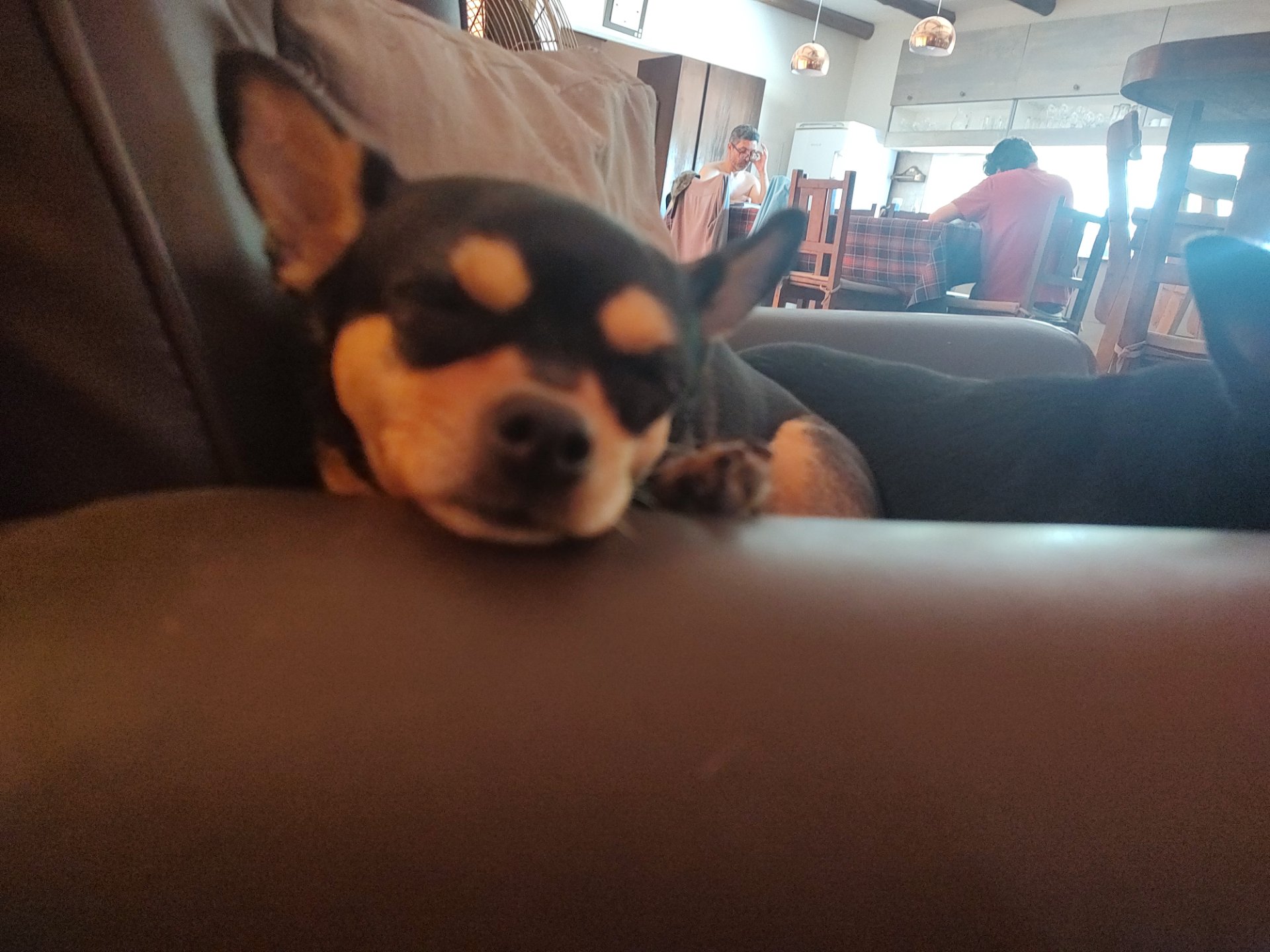 Haru, foto 3