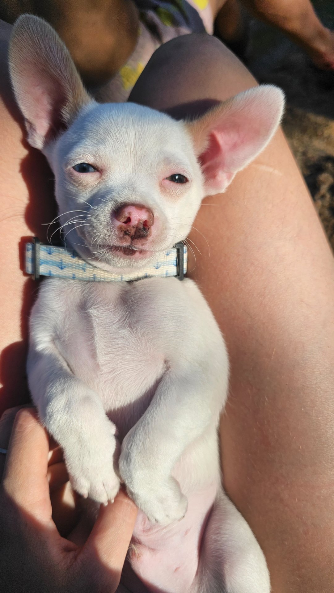 Rocky, foto 2