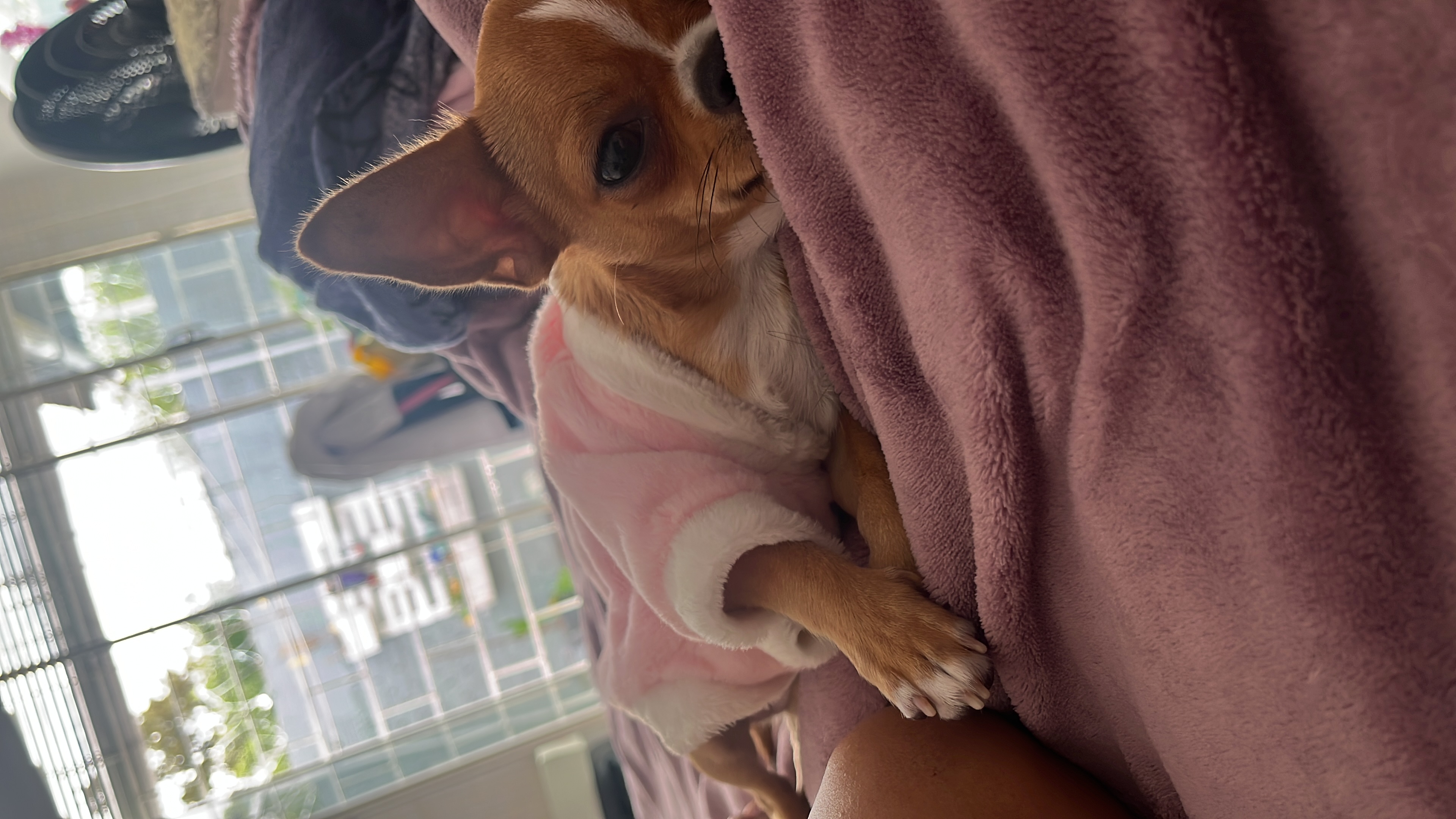 Olivia, foto 3