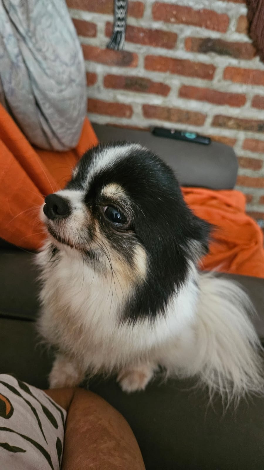 Leela, foto 2