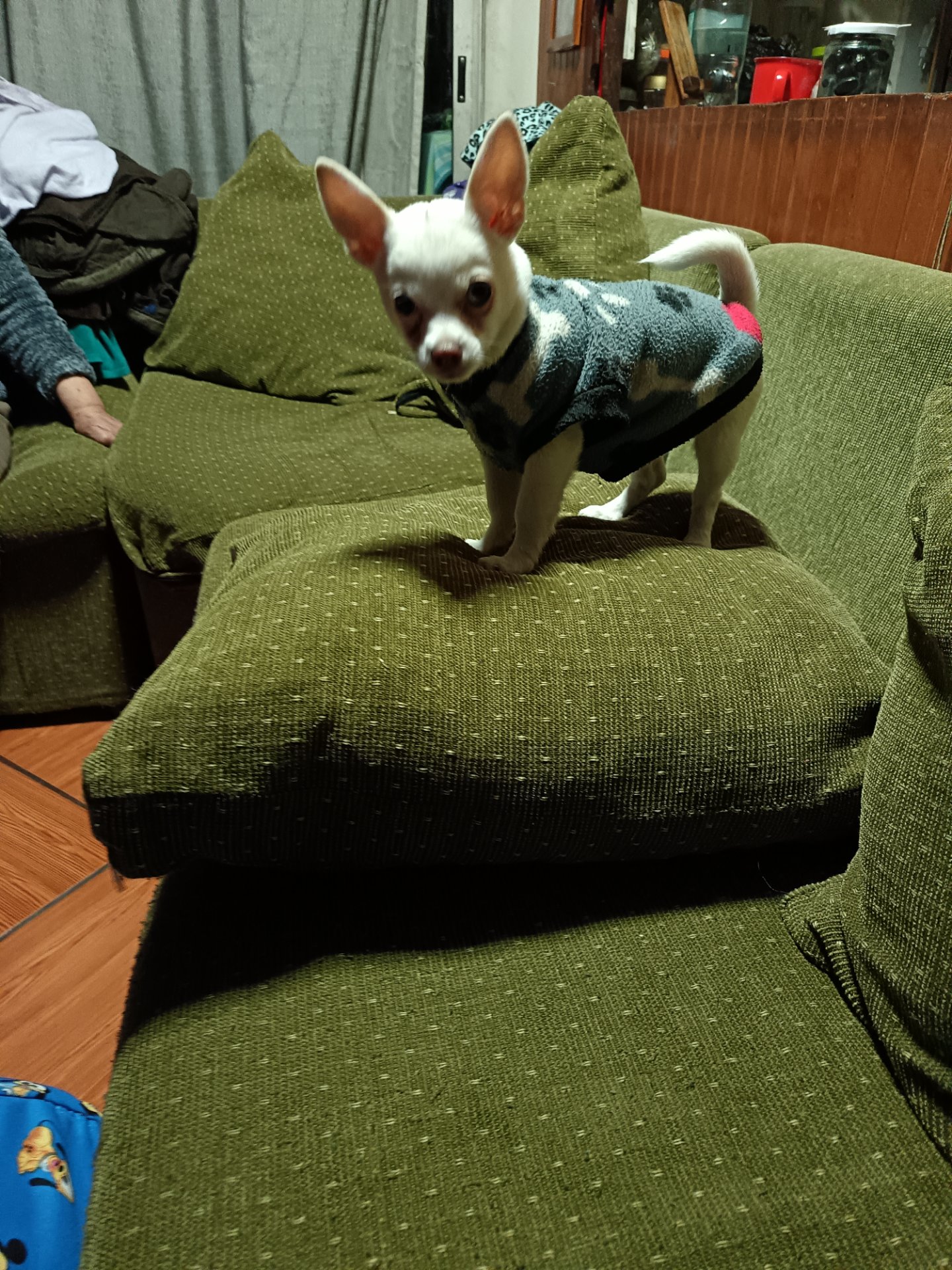 Juan Carlos, foto 2