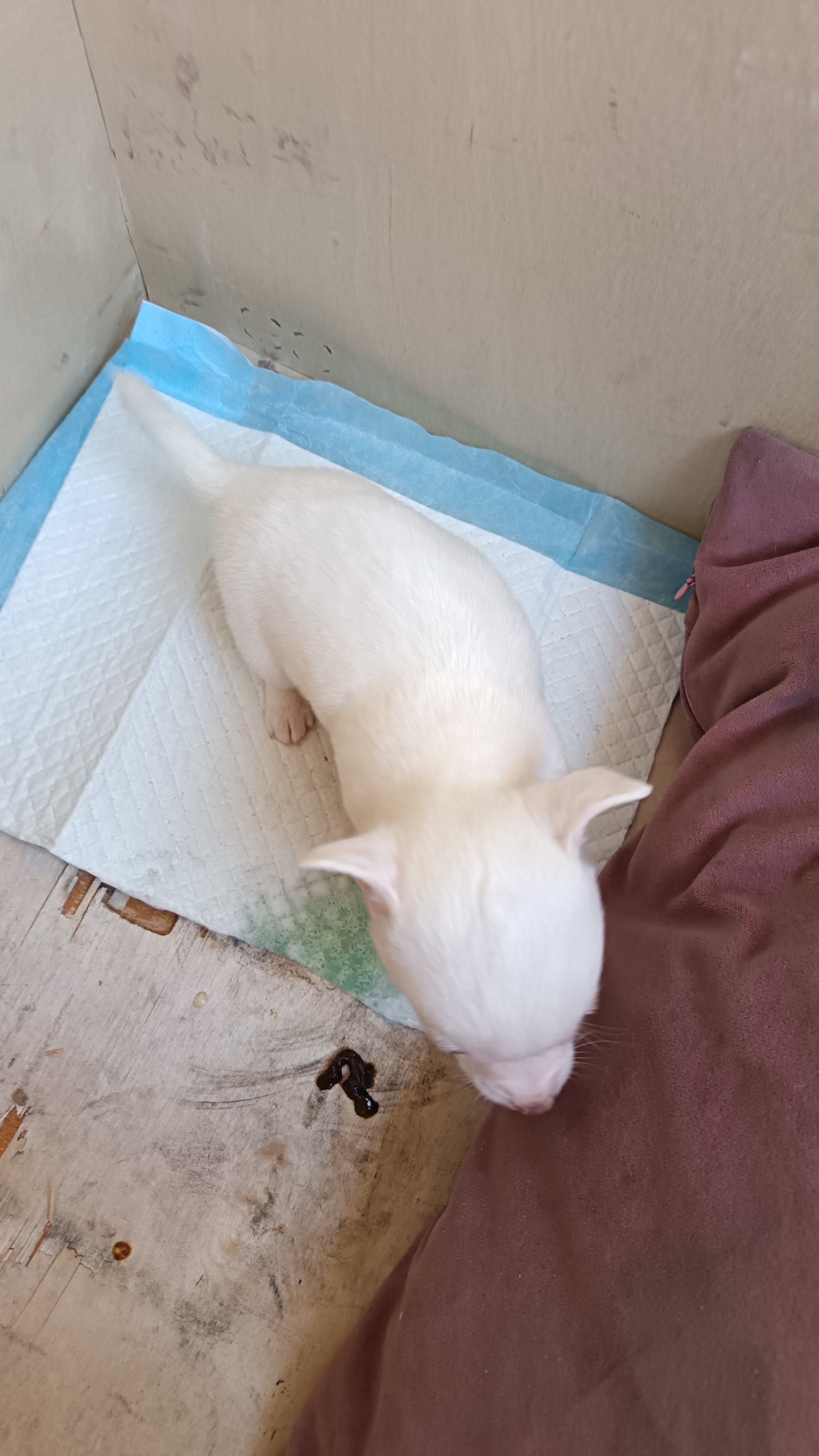 Juan Carlos, foto 3