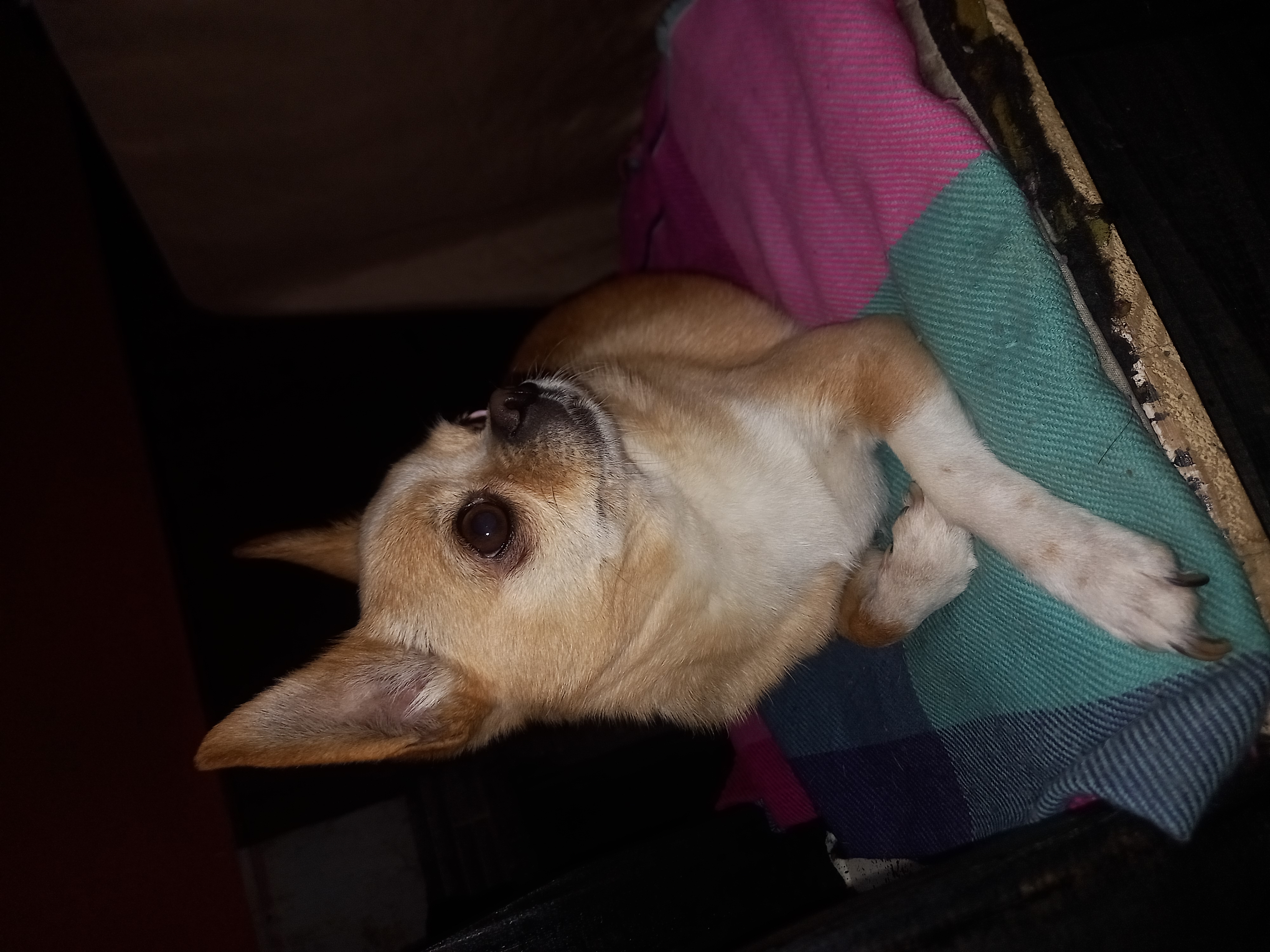 Marlem, foto 2