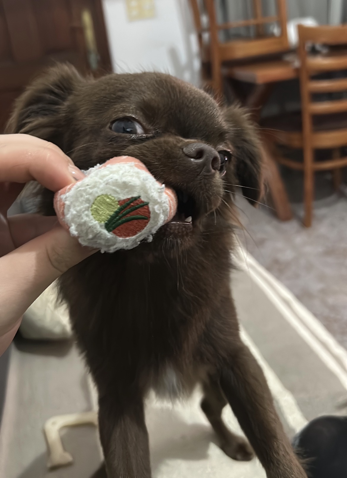 Taco, foto 2
